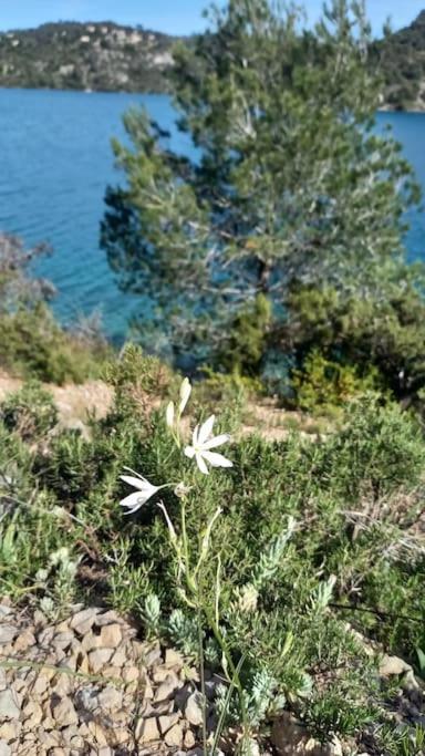 House Of Magic Lake Greoux-les-Bains Luaran gambar